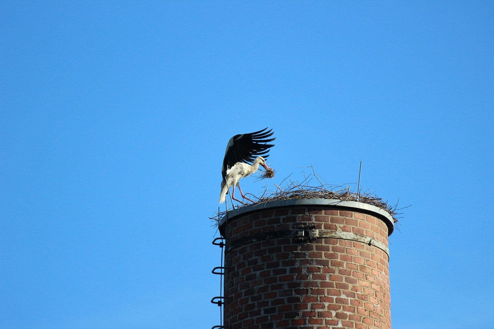 2 bedroom flat to rent, 56 m², Kitscherstr, 10, Crimmitschau, Saxony 2 bedroom flat to rent, 56 m², Kitscherstr, 10, Crimmitschau, Saxony