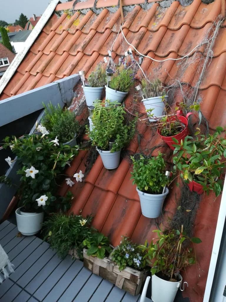 1 bedroom flat to rent, 40 m², Lindenstraße 12, Pönitz, Schleswig-Holstein 1 bedroom flat to rent, 40 m², Lindenstraße 12, Pönitz, Schleswig-Holstein