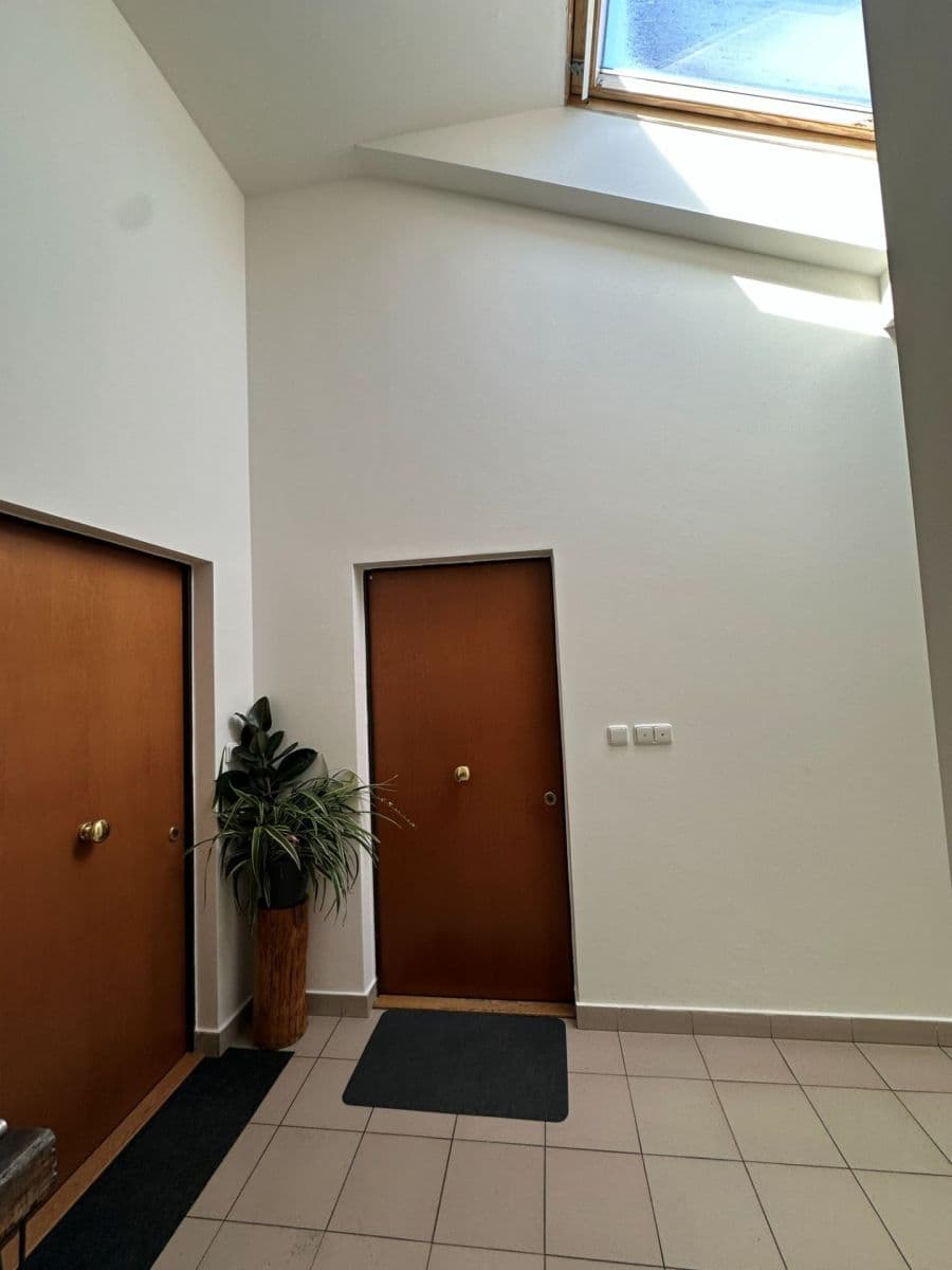 1 bedroom with open-plan kitchen flat to rent, 65 m², Podvinný mlýn, Prague, Prague 1 bedroom with open-plan kitchen flat to rent, 65 m², Podvinný mlýn, Prague, Prague