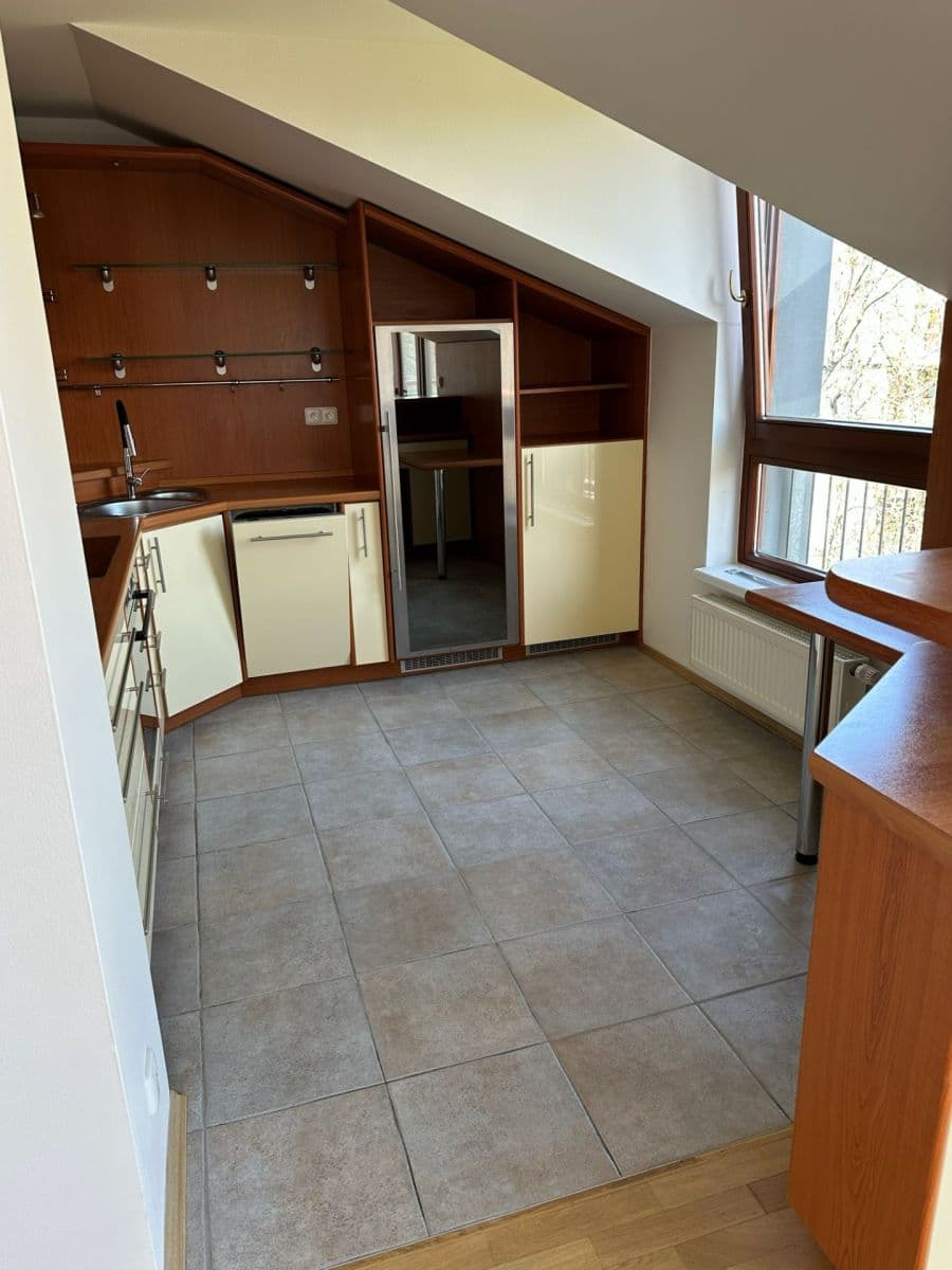 1 bedroom with open-plan kitchen flat to rent, 65 m², Podvinný mlýn, Prague, Prague 1 bedroom with open-plan kitchen flat to rent, 65 m², Podvinný mlýn, Prague, Prague