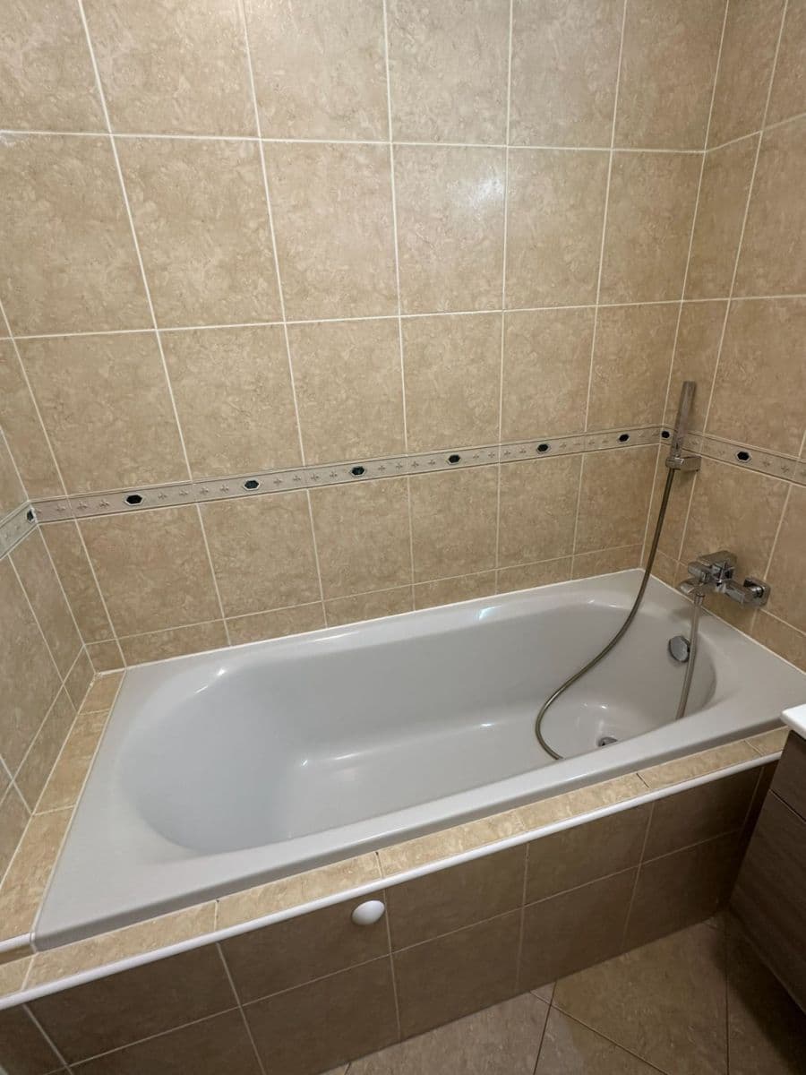 1 bedroom with open-plan kitchen flat to rent, 65 m², Podvinný mlýn, Prague, Prague 1 bedroom with open-plan kitchen flat to rent, 65 m², Podvinný mlýn, Prague, Prague