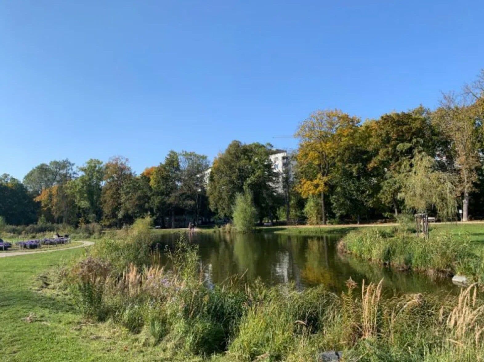 1 bedroom with open-plan kitchen flat to rent, 59 m², Fafkových, Prague, Prague 1 bedroom with open-plan kitchen flat to rent, 59 m², Fafkových, Prague, Prague