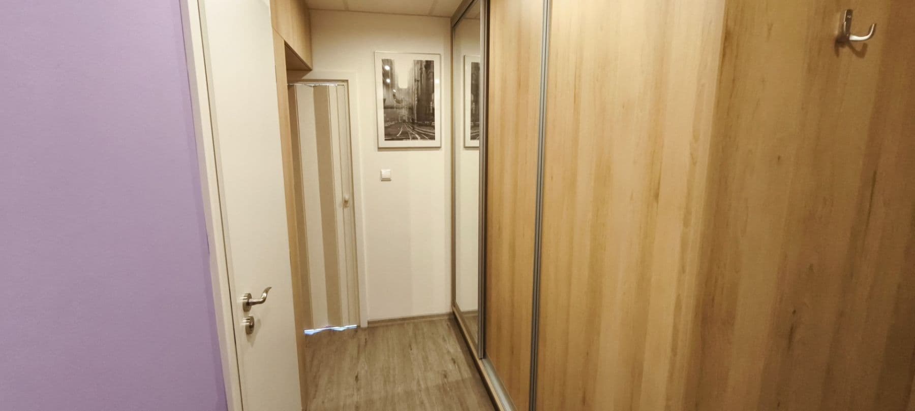 1 bedroom with open-plan kitchen flat to rent, 45 m², Skuteckého, Prague, Prague 1 bedroom with open-plan kitchen flat to rent, 45 m², Skuteckého, Prague, Prague