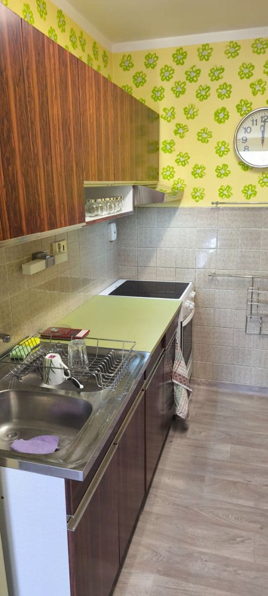 1 bedroom with open-plan kitchen flat to rent, 45 m², Skuteckého, Prague, Prague 1 bedroom with open-plan kitchen flat to rent, 45 m², Skuteckého, Prague, Prague