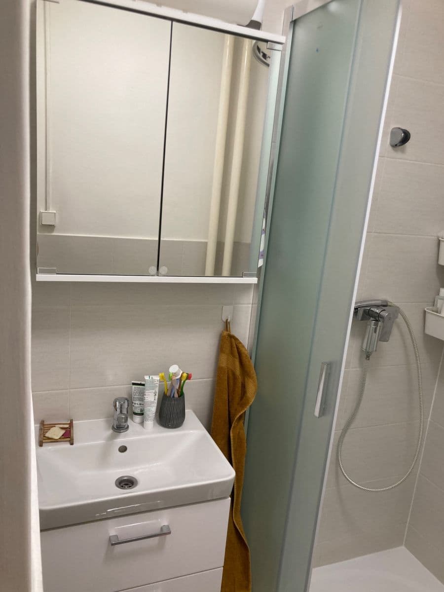 3 bedroom flat to rent, 19 m², Hostýnská, Prague, Prague 3 bedroom flat to rent, 19 m², Hostýnská, Prague, Prague