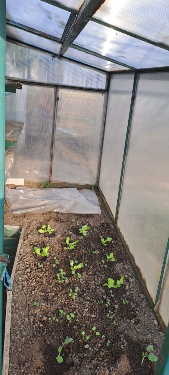 house for sale, 98 m², Alfonse Muchy, Ivančice, Jihomoravský Region house for sale, 98 m², Alfonse Muchy, Ivančice, Jihomoravský Region