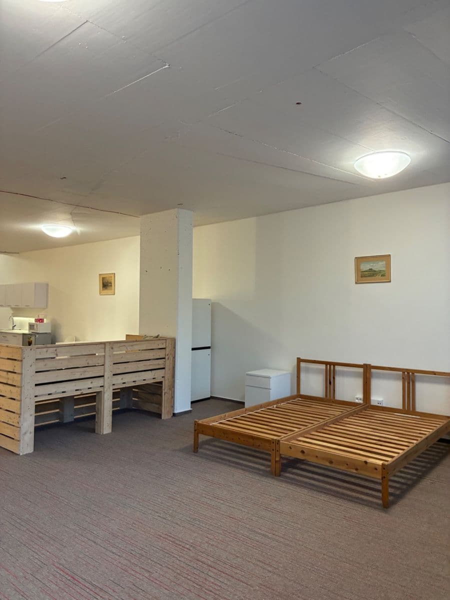 Studio flat to rent, 92 m², Pod Dvorem, Prague, Prague Studio flat to rent, 92 m², Pod Dvorem, Prague, Prague