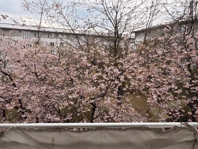 Studio flat to rent, 42 m², München, Bavaria Studio flat to rent, 42 m², München, Bavaria