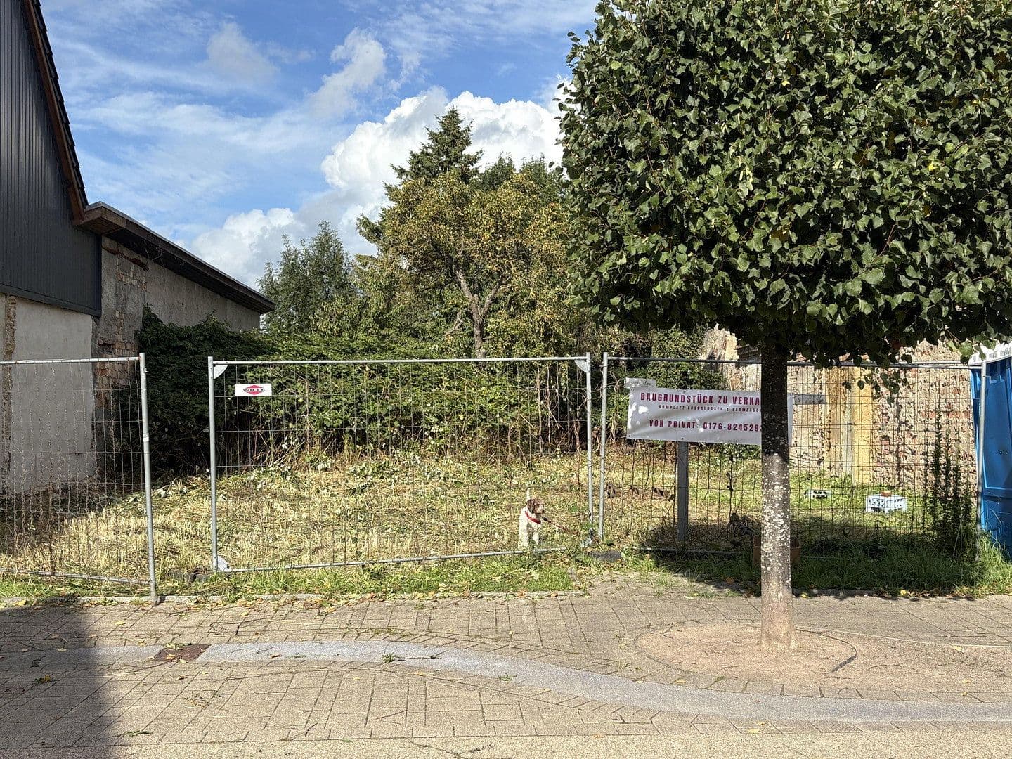 plot for sale, 529 m², Wilhelmstrasse 49, Wolgast, Mecklenburg-Vorpommern plot for sale, 529 m², Wilhelmstrasse 49, Wolgast, Mecklenburg-Vorpommern