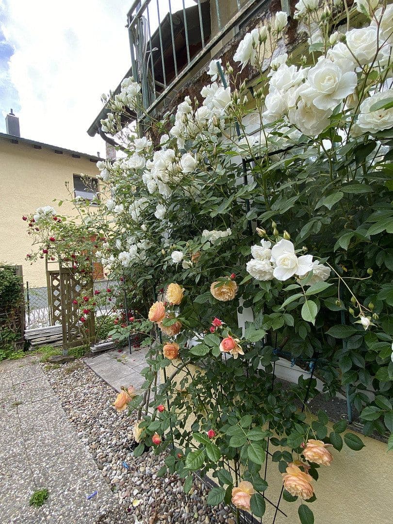 3 bedroom flat for sale, 72 m², Emil-Kollmar-Straße 5, Pforzheim, Baden-Württemberg 3 bedroom flat for sale, 72 m², Emil-Kollmar-Straße 5, Pforzheim, Baden-Württemberg