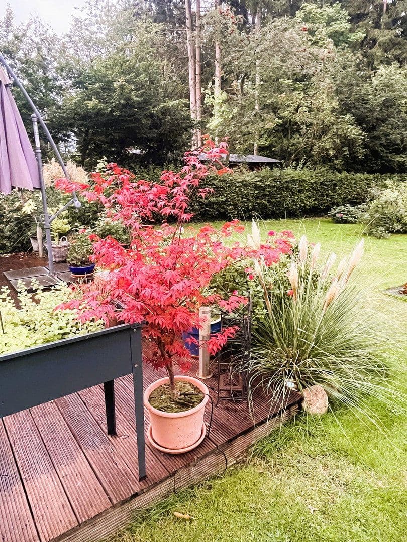 house for sale, 140 m², Hamfelde (Lauenburg), Schleswig-Holstein house for sale, 140 m², Hamfelde (Lauenburg), Schleswig-Holstein