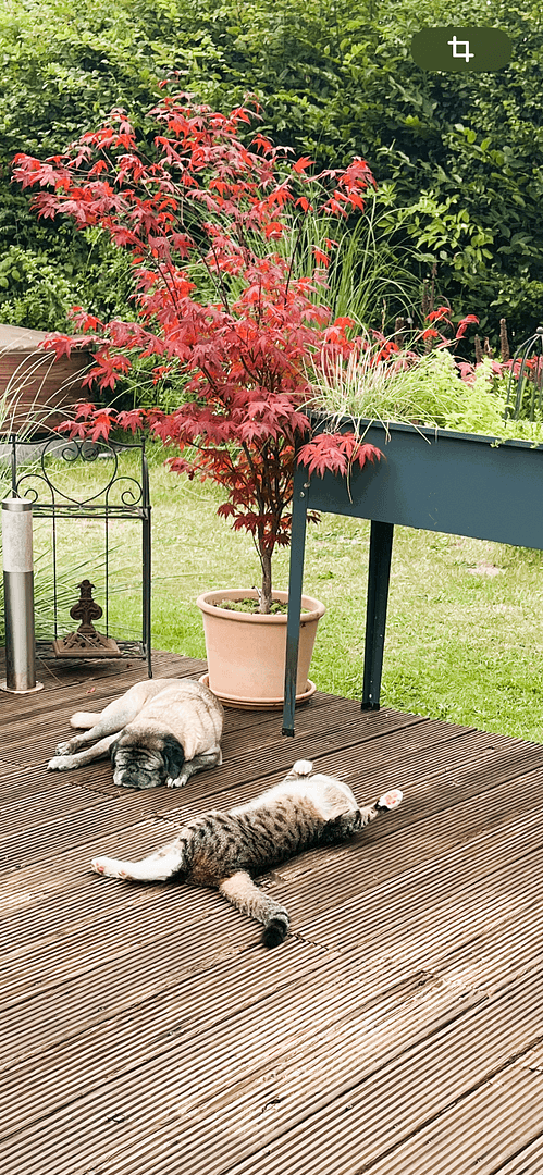 house for sale, 140 m², Hamfelde (Lauenburg), Schleswig-Holstein house for sale, 140 m², Hamfelde (Lauenburg), Schleswig-Holstein