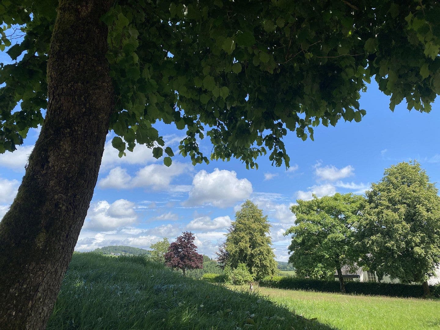 2 bedroom flat to rent, 73 m², Delleweg 21, Winterberg, North Rhine-Westphalia 2 bedroom flat to rent, 73 m², Delleweg 21, Winterberg, North Rhine-Westphalia