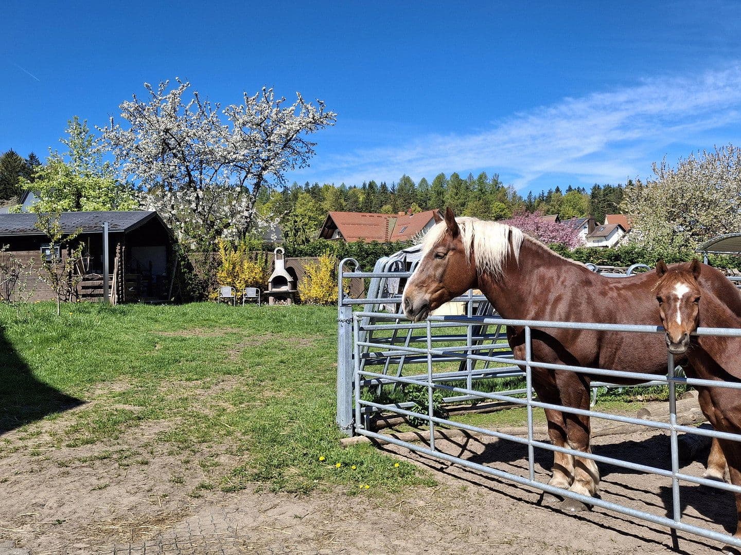 5 bedroom flat to rent, 130 m², Geschwand 76, Obertrubach, Bavaria 5 bedroom flat to rent, 130 m², Geschwand 76, Obertrubach, Bavaria