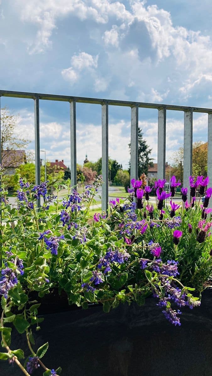 1 bedroom with open-plan kitchen flat for sale, 68 m², U Parketárny, Unhošť, Středočeský Region 1 bedroom with open-plan kitchen flat for sale, 68 m², U Parketárny, Unhošť, Středočeský Region