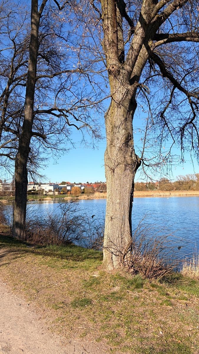 1 bedroom with open-plan kitchen flat for sale, 68 m², U Parketárny, Unhošť, Středočeský Region 1 bedroom with open-plan kitchen flat for sale, 68 m², U Parketárny, Unhošť, Středočeský Region