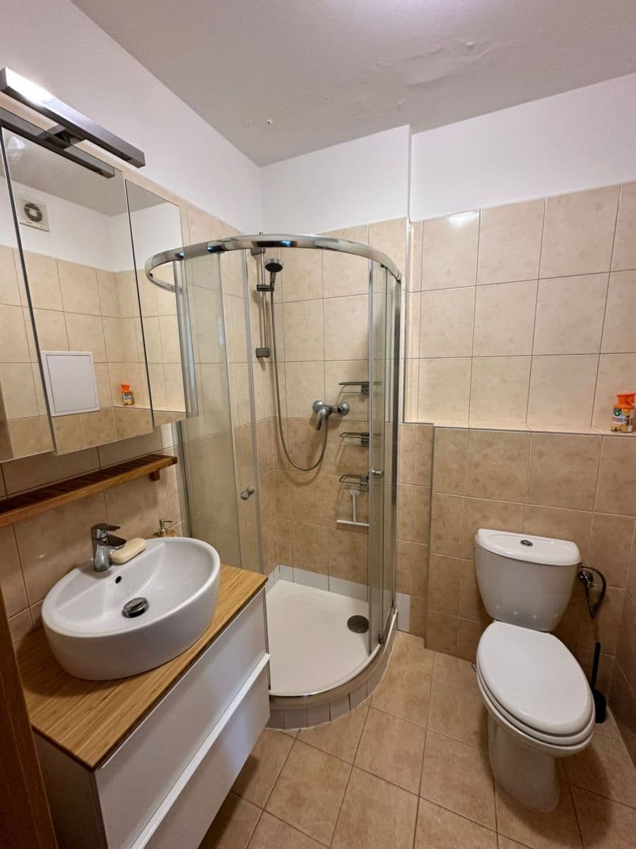 1 bedroom with open-plan kitchen flat to rent, 45 m², Hrušovanské náměstí, Prague, Prague 1 bedroom with open-plan kitchen flat to rent, 45 m², Hrušovanské náměstí, Prague, Prague