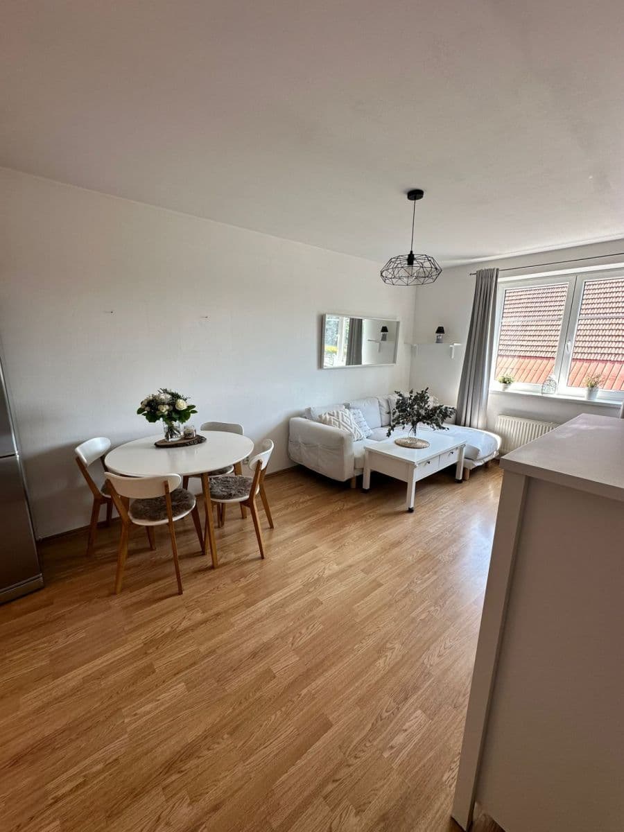 1 bedroom with open-plan kitchen flat to rent, 45 m², Hrušovanské náměstí, Prague, Prague 1 bedroom with open-plan kitchen flat to rent, 45 m², Hrušovanské náměstí, Prague, Prague