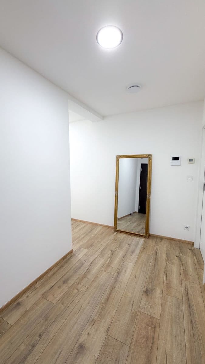 1 bedroom with open-plan kitchen flat for sale, 66 m², Psárská, Prague, Prague 1 bedroom with open-plan kitchen flat for sale, 66 m², Psárská, Prague, Prague