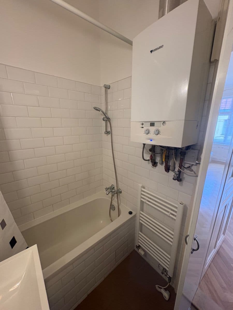 1 bedroom with open-plan kitchen flat to rent, 47 m², Elišky Krásnohorské, Prague, Prague 1 bedroom with open-plan kitchen flat to rent, 47 m², Elišky Krásnohorské, Prague, Prague