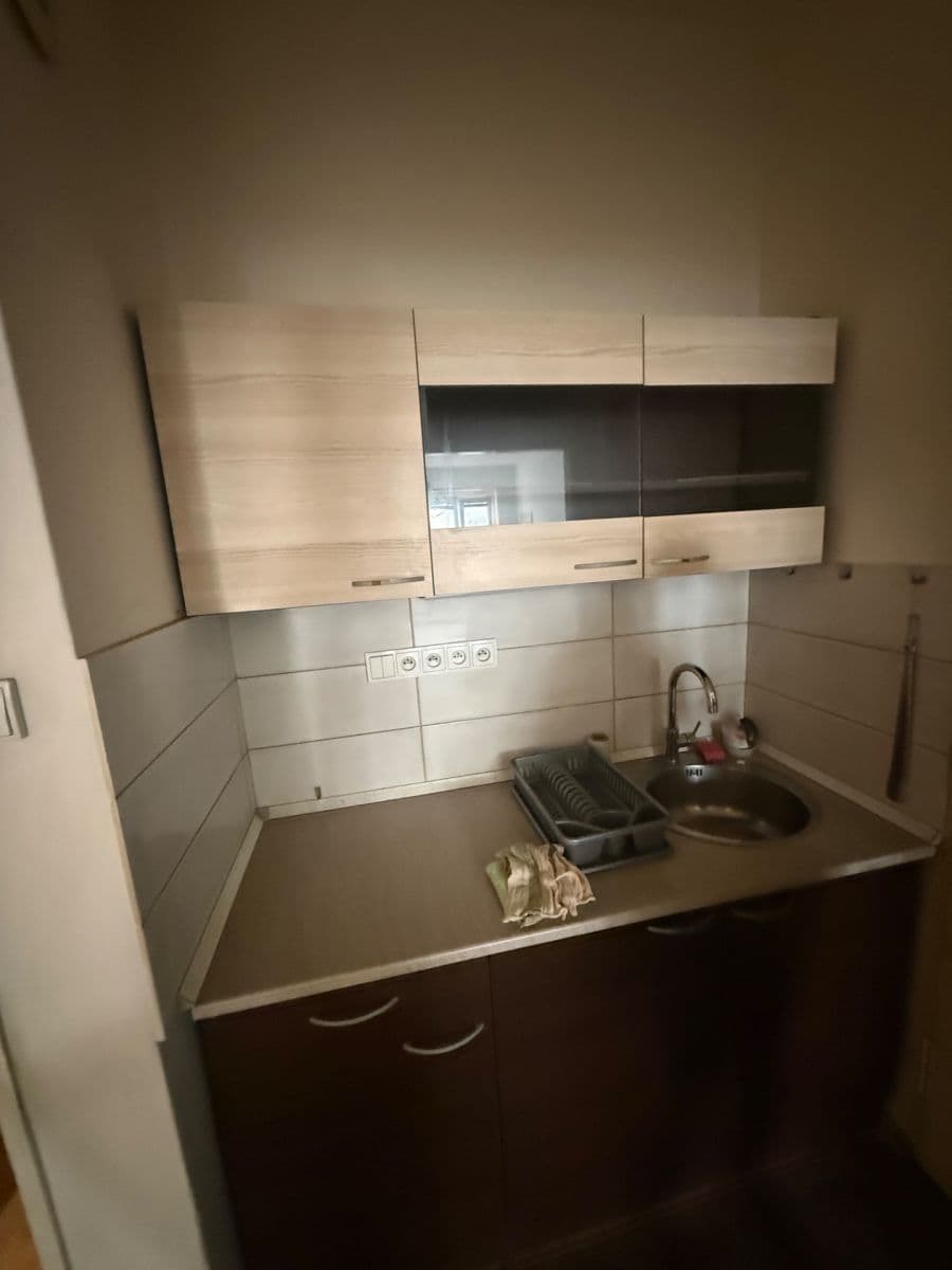 1 bedroom with open-plan kitchen flat to rent, 51 m², Komunardů, Prague, Prague 1 bedroom with open-plan kitchen flat to rent, 51 m², Komunardů, Prague, Prague