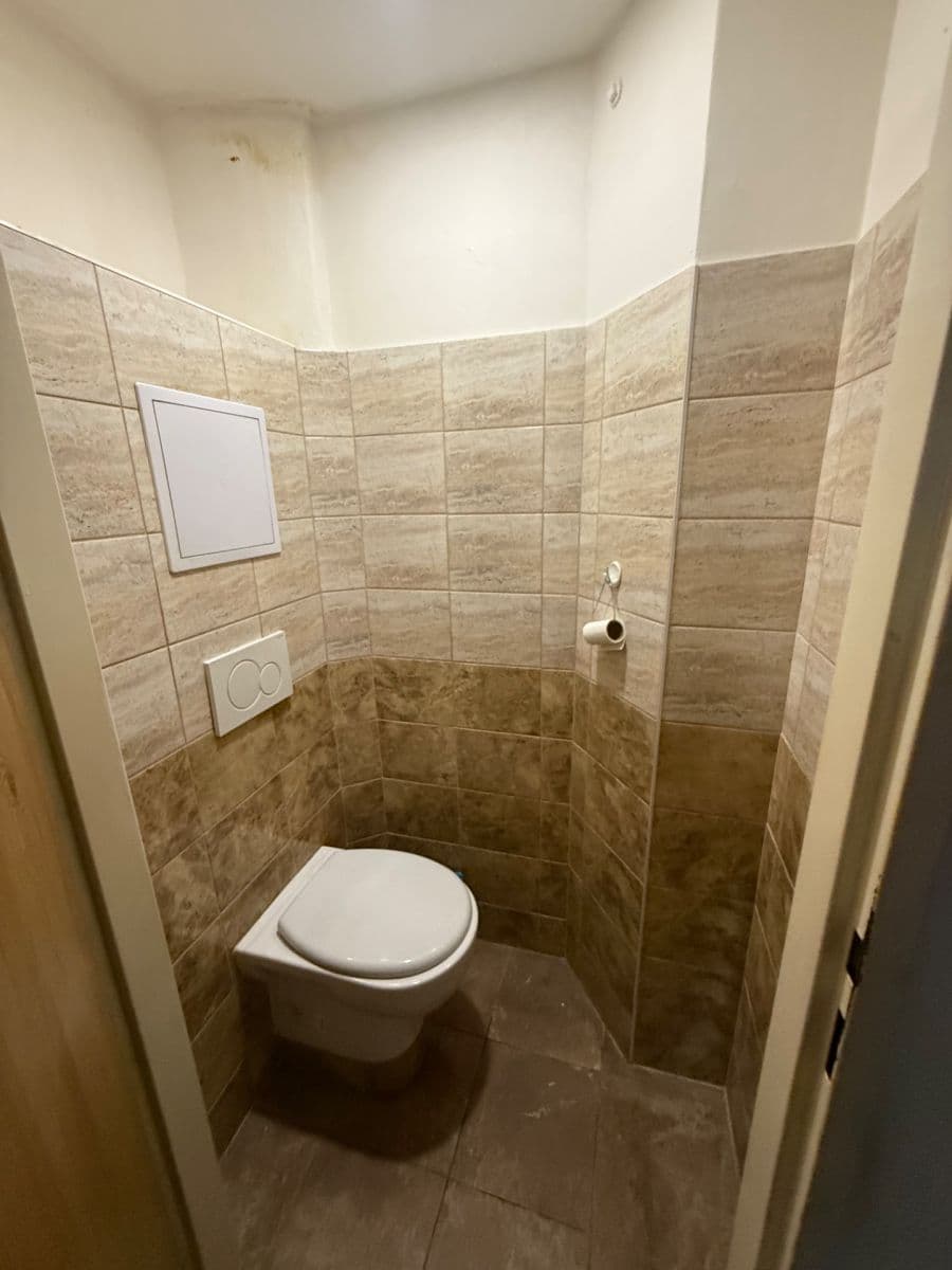 1 bedroom with open-plan kitchen flat to rent, 51 m², Komunardů, Prague, Prague 1 bedroom with open-plan kitchen flat to rent, 51 m², Komunardů, Prague, Prague