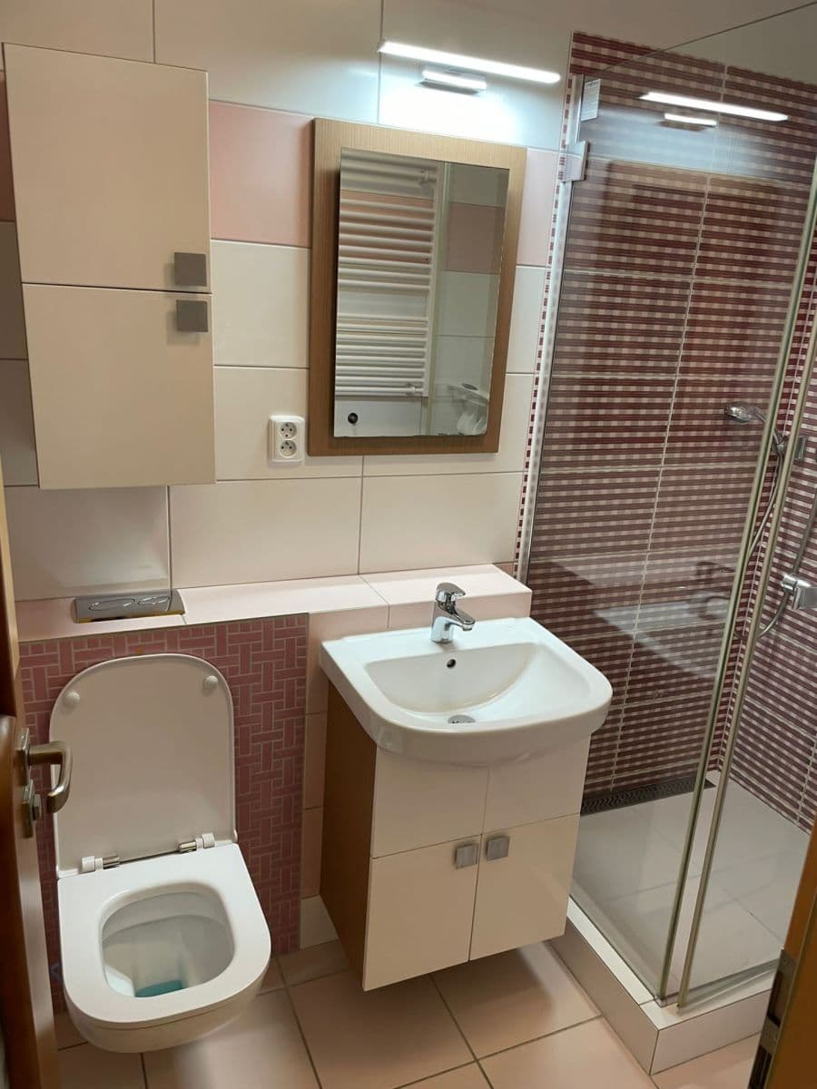 Studio flat to rent, 31 m², Pod Děvínem, Prague, Prague Studio flat to rent, 31 m², Pod Děvínem, Prague, Prague