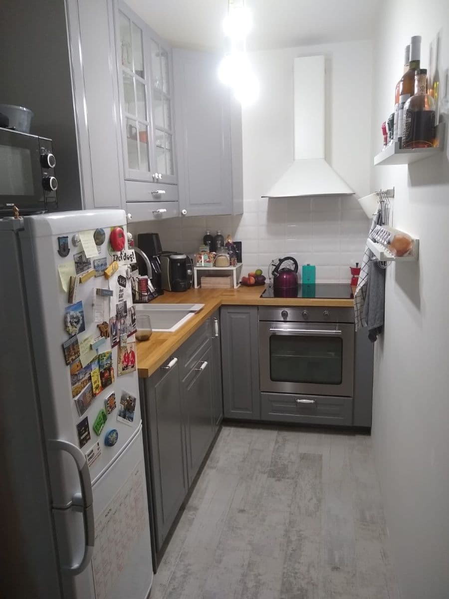 1 bedroom with open-plan kitchen flat to rent, 52 m², Ukrajinská, Brno, Jihomoravský Region 1 bedroom with open-plan kitchen flat to rent, 52 m², Ukrajinská, Brno, Jihomoravský Region