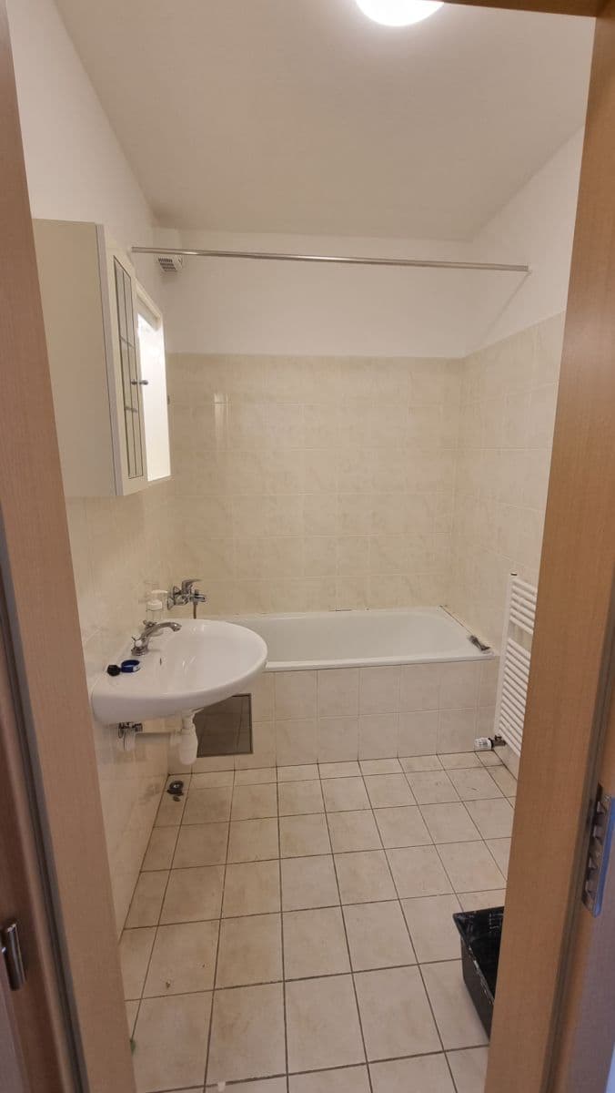 1 bedroom with open-plan kitchen flat to rent, 72 m², Padovská, Prague, Prague 1 bedroom with open-plan kitchen flat to rent, 72 m², Padovská, Prague, Prague