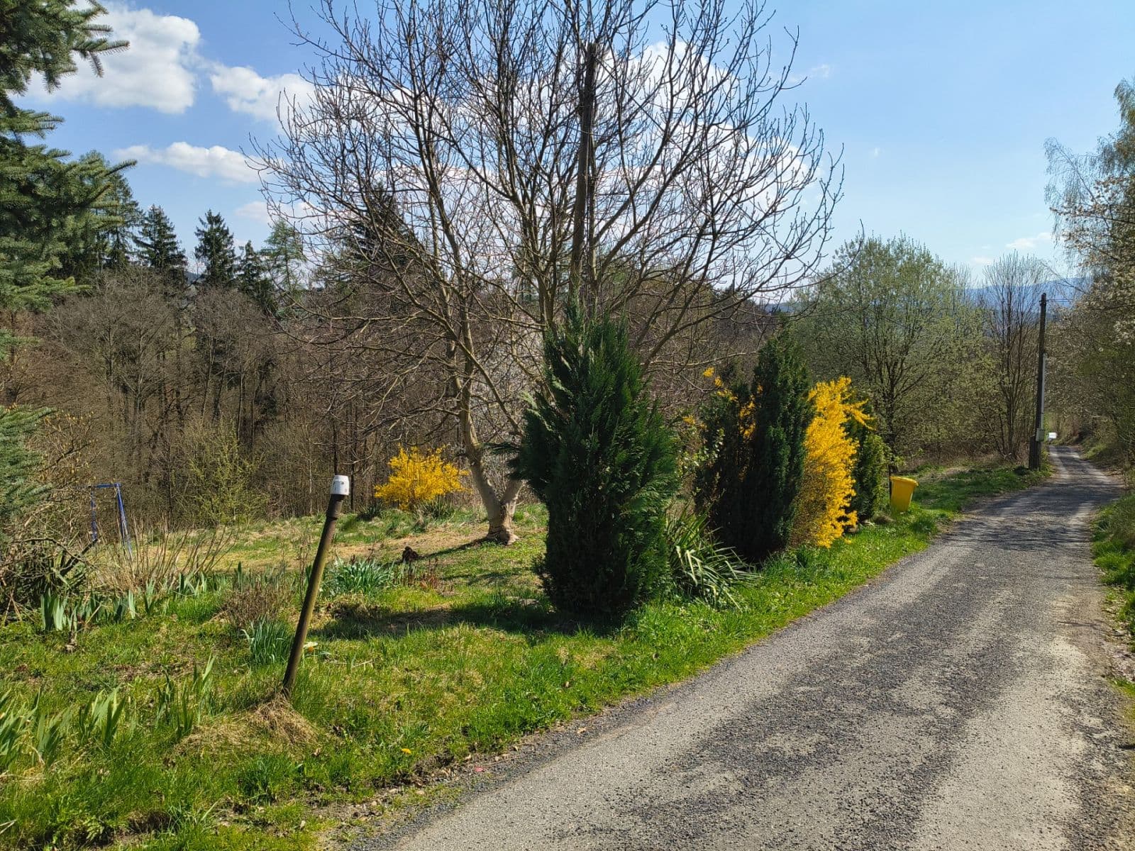 plot for sale, 3,722 m², Nová Ves, Liberecký Region plot for sale, 3,722 m², Nová Ves, Liberecký Region