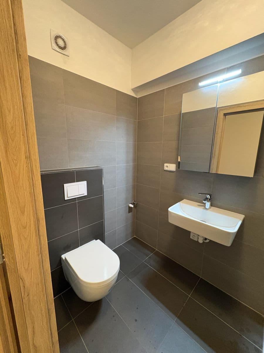 1 bedroom with open-plan kitchen flat to rent, 43 m², Zlín, Zlínský Region 1 bedroom with open-plan kitchen flat to rent, 43 m², Zlín, Zlínský Region