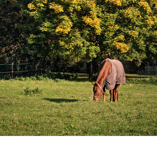 house to rent, 180 m², Gutshof 5, Erkerode, Lower Saxony house to rent, 180 m², Gutshof 5, Erkerode, Lower Saxony