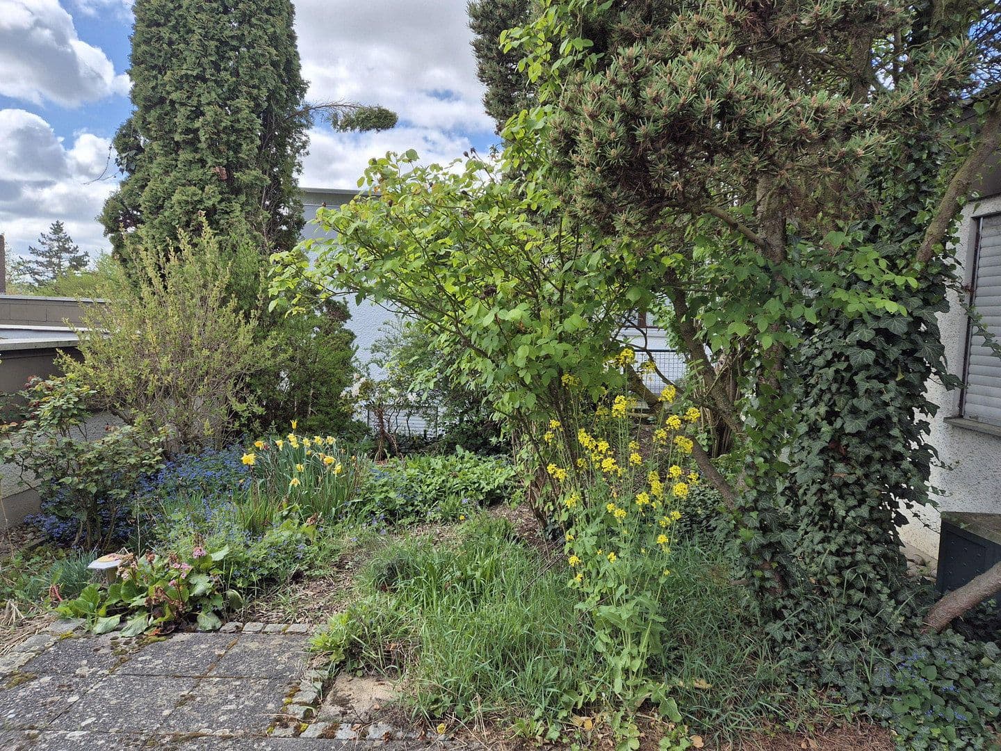 house for sale, 119 m², Würzburg, Bavaria house for sale, 119 m², Würzburg, Bavaria