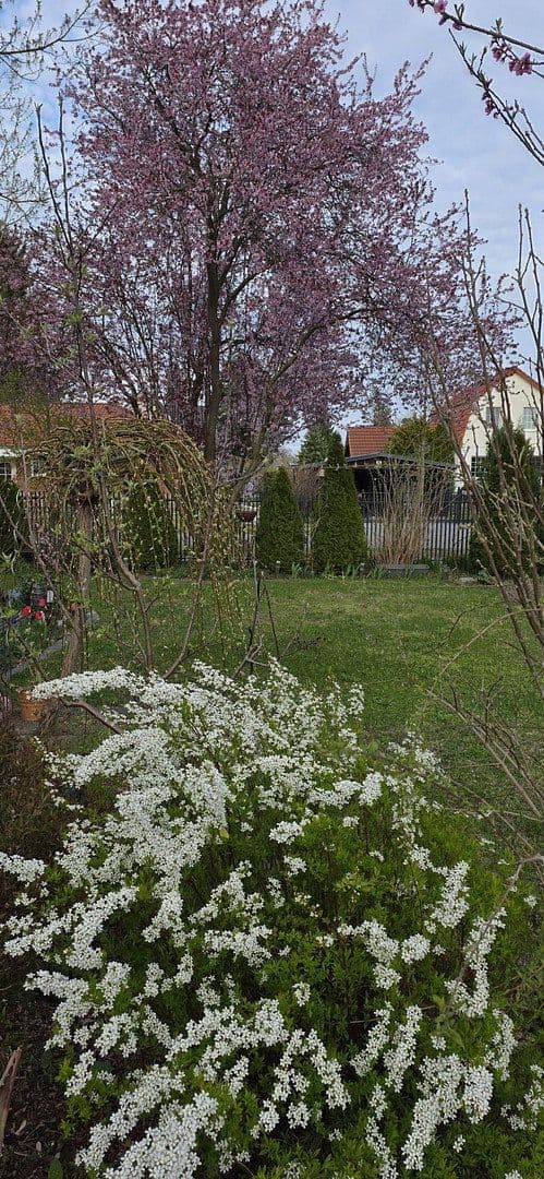 house for sale, 134 m², Falkensee, Brandenburg house for sale, 134 m², Falkensee, Brandenburg