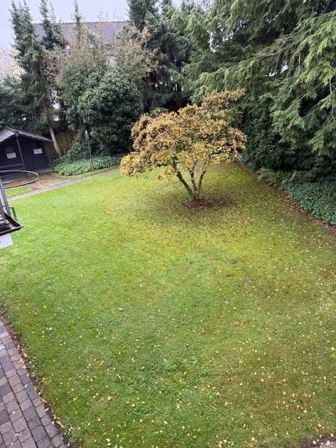 house to rent, 250 m², Witten, North Rhine-Westphalia house to rent, 250 m², Witten, North Rhine-Westphalia