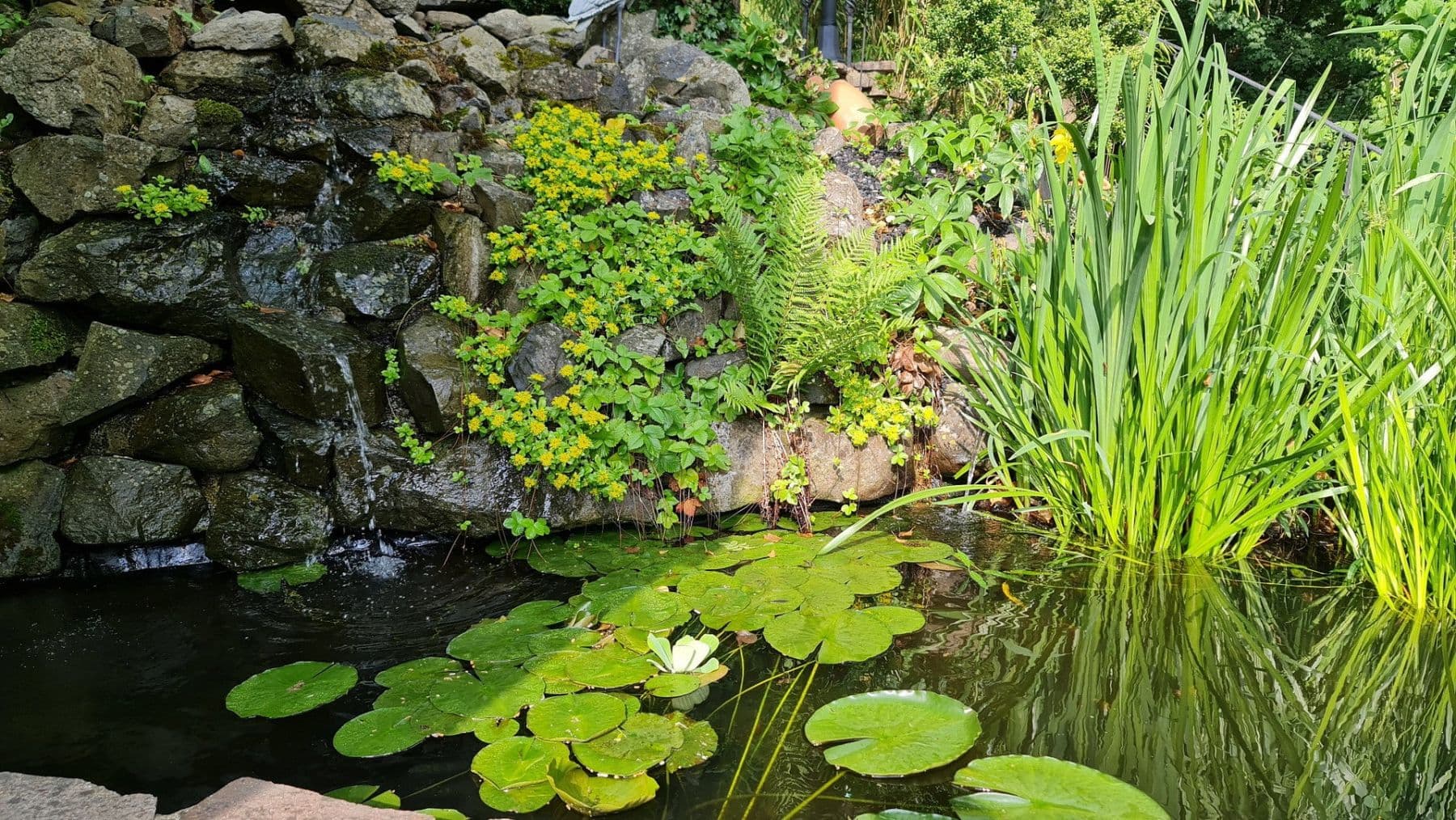 house for sale, 206 m², Westerburg, Rhineland-Palatinate house for sale, 206 m², Westerburg, Rhineland-Palatinate