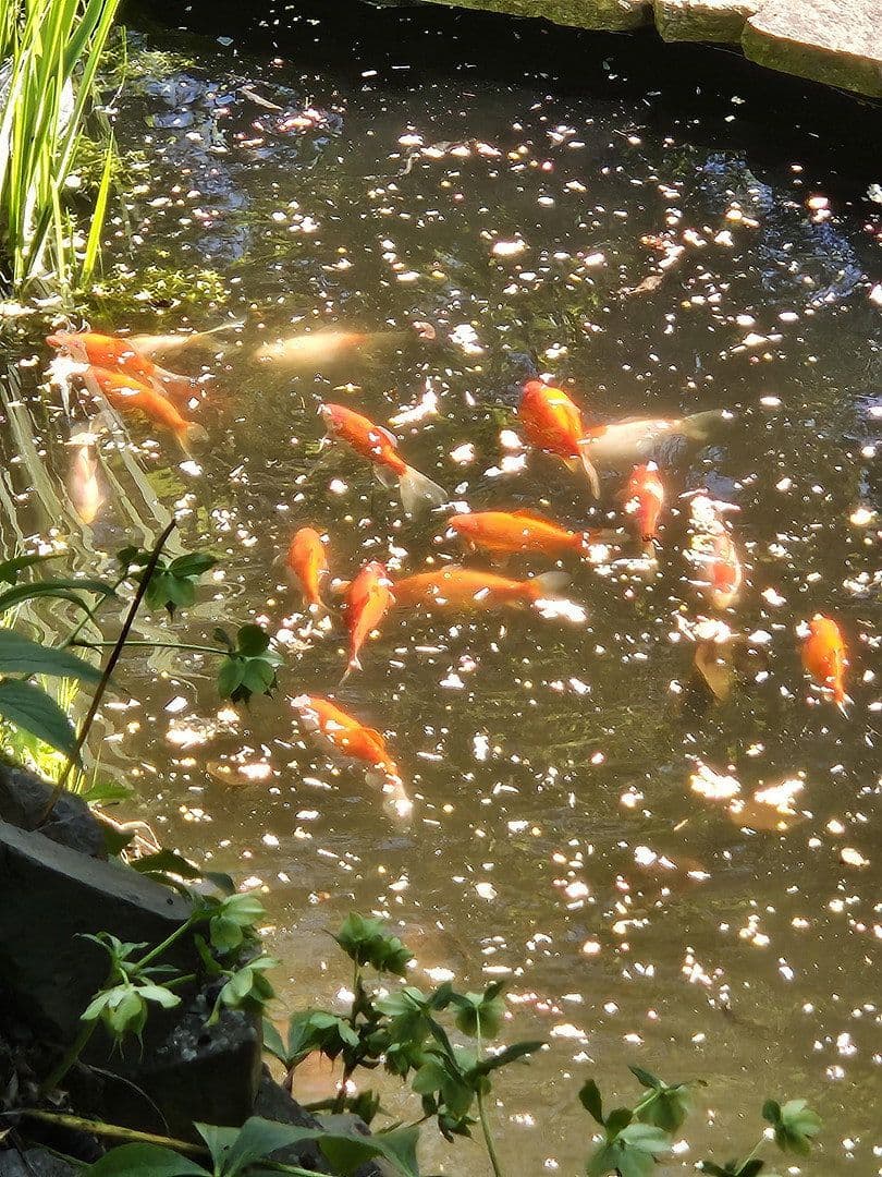 house for sale, 206 m², Westerburg, Rhineland-Palatinate house for sale, 206 m², Westerburg, Rhineland-Palatinate