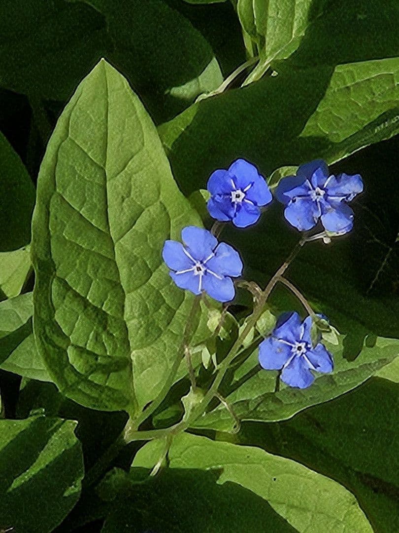 house for sale, 206 m², Westerburg, Rhineland-Palatinate house for sale, 206 m², Westerburg, Rhineland-Palatinate