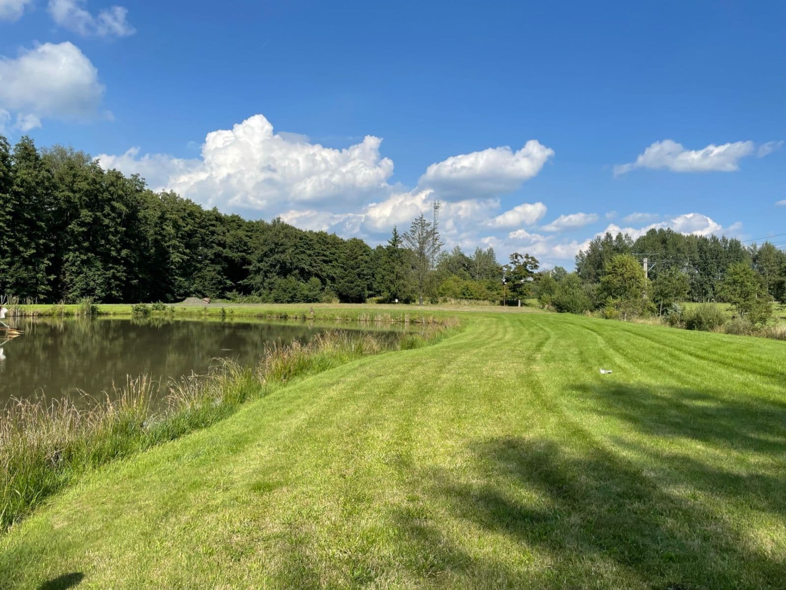 plot for sale, 9,437 m², Hory, Karlovarský Region plot for sale, 9,437 m², Hory, Karlovarský Region