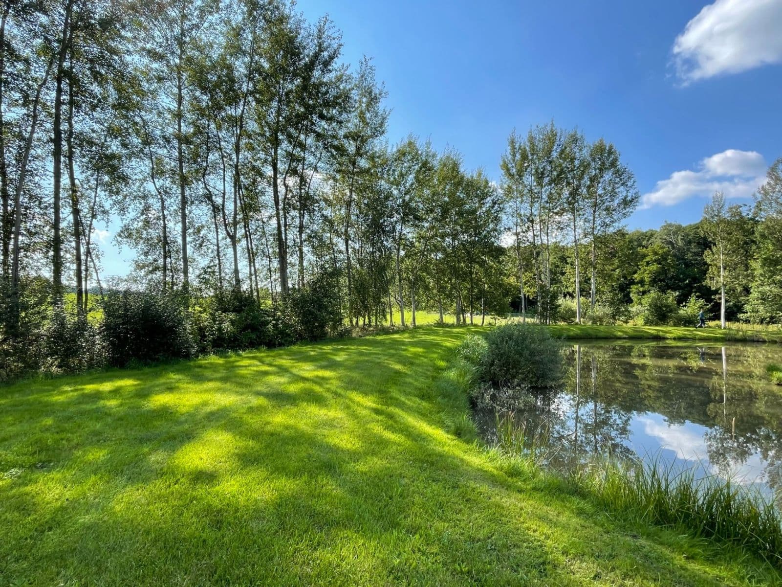 plot for sale, 9,437 m², Hory, Karlovarský Region plot for sale, 9,437 m², Hory, Karlovarský Region