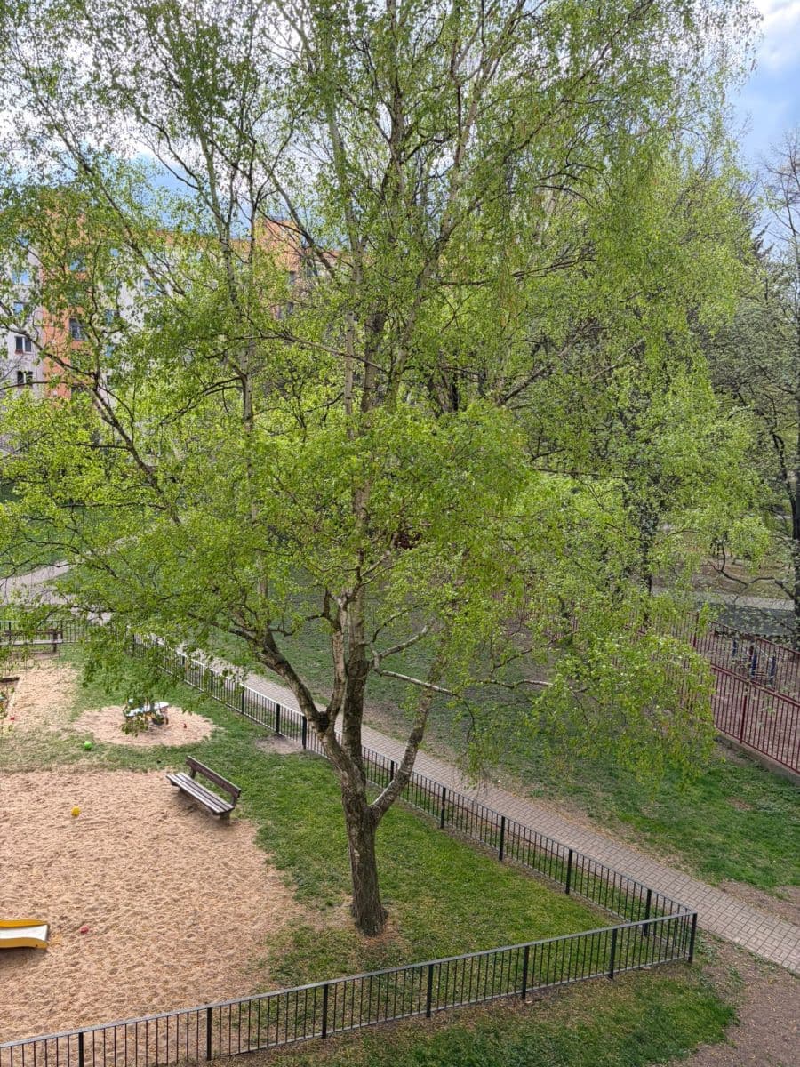 2 bedroom flat to rent, 52 m², Maříkova, Prague, Prague 2 bedroom flat to rent, 52 m², Maříkova, Prague, Prague