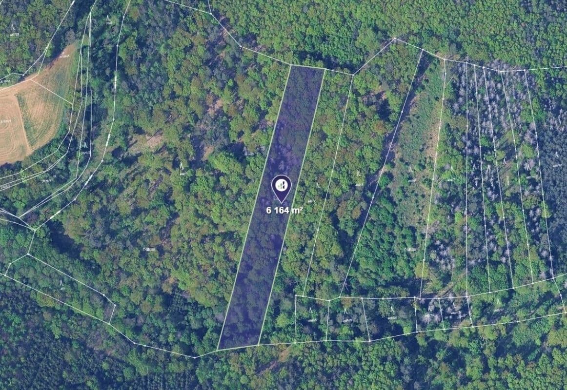 plot for sale, 771 m², Svinošice, Jihomoravský Region plot for sale, 771 m², Svinošice, Jihomoravský Region