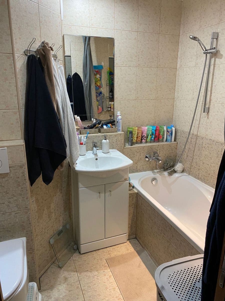 1 bedroom with open-plan kitchen flat to rent, 43 m², Ve Lhotce, Prague, Prague 1 bedroom with open-plan kitchen flat to rent, 43 m², Ve Lhotce, Prague, Prague