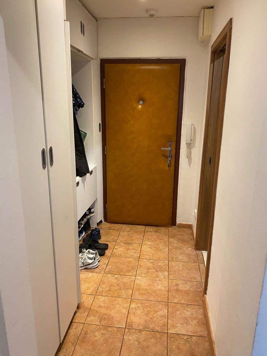 1 bedroom with open-plan kitchen flat to rent, 43 m², Ve Lhotce, Prague, Prague 1 bedroom with open-plan kitchen flat to rent, 43 m², Ve Lhotce, Prague, Prague