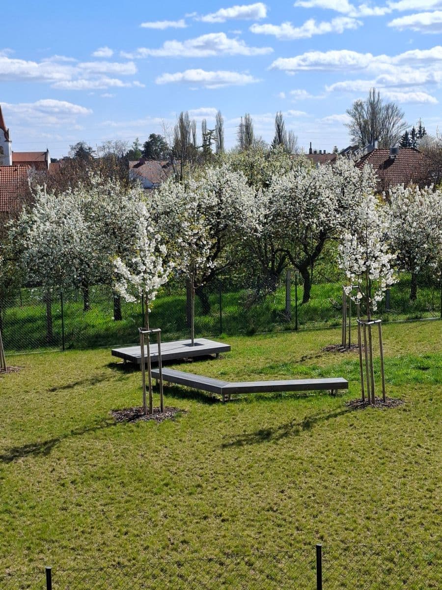 Studio flat to rent, 42 m², Řepova, Brno, Jihomoravský Region Studio flat to rent, 42 m², Řepova, Brno, Jihomoravský Region