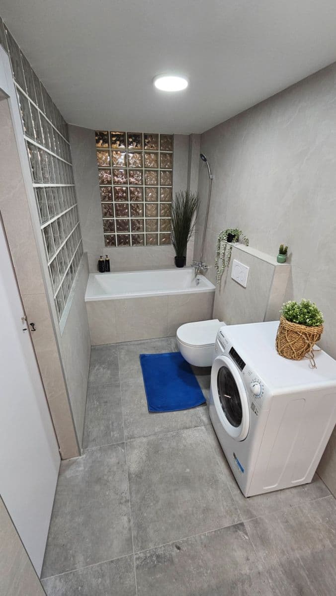 1 bedroom with open-plan kitchen flat for sale, 45 m², Na Valentince, Prague, Prague 1 bedroom with open-plan kitchen flat for sale, 45 m², Na Valentince, Prague, Prague