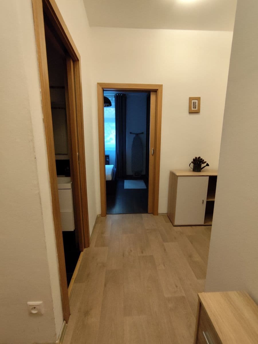 1 bedroom with open-plan kitchen flat to rent, 41 m², Stupkova, Prague, Prague 1 bedroom with open-plan kitchen flat to rent, 41 m², Stupkova, Prague, Prague