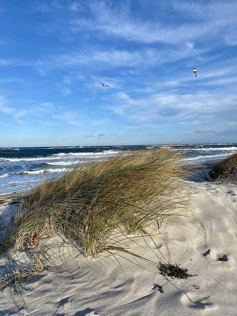 1 bedroom flat for sale, 28 m², Palstek 2, Wendtorf, Schleswig-Holstein 1 bedroom flat for sale, 28 m², Palstek 2, Wendtorf, Schleswig-Holstein