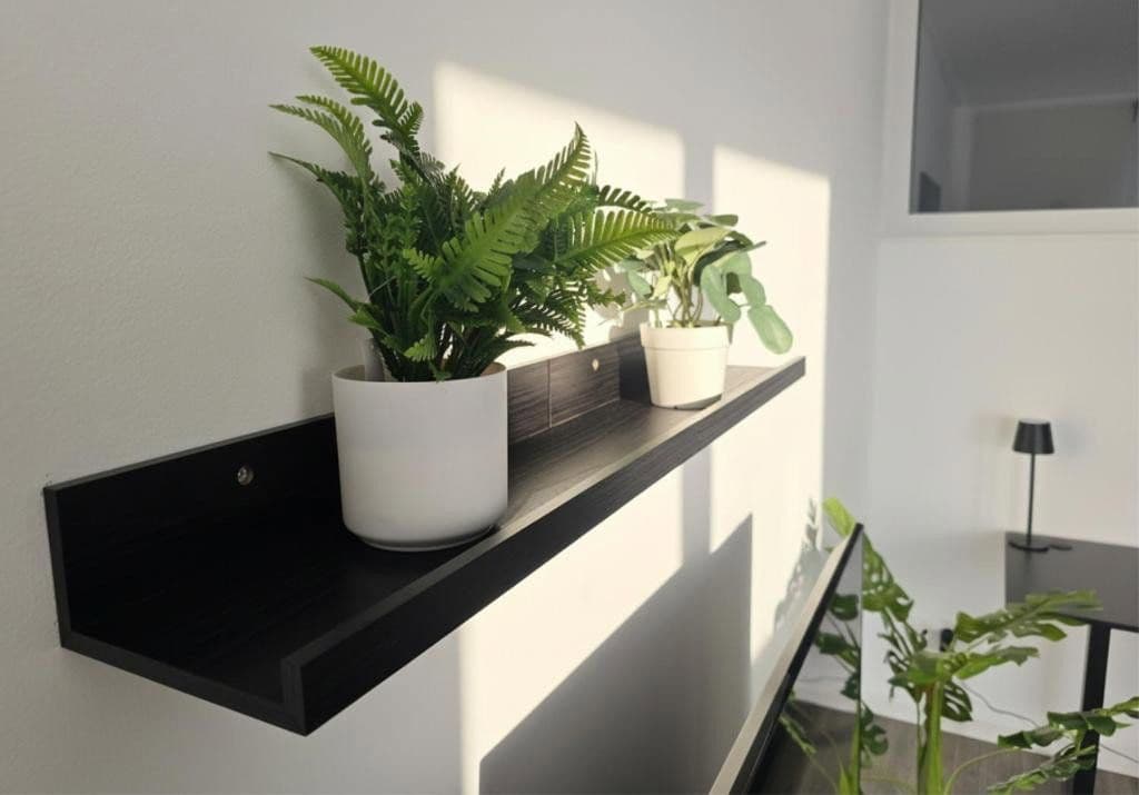 2 bedroom flat to rent, 48 m², Rheinstraße 115, Karlsruhe, Baden-Württemberg 2 bedroom flat to rent, 48 m², Rheinstraße 115, Karlsruhe, Baden-Württemberg