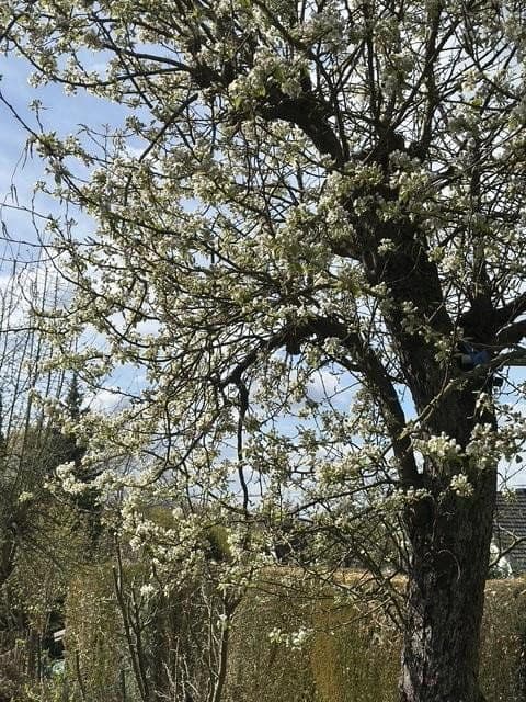 2 bedroom flat for sale, 54 m², Hagen, Hohenlimburg, North Rhine-Westphalia 2 bedroom flat for sale, 54 m², Hagen, Hohenlimburg, North Rhine-Westphalia